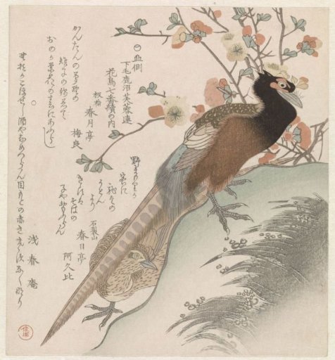 Pheasants by a branch of blossoms