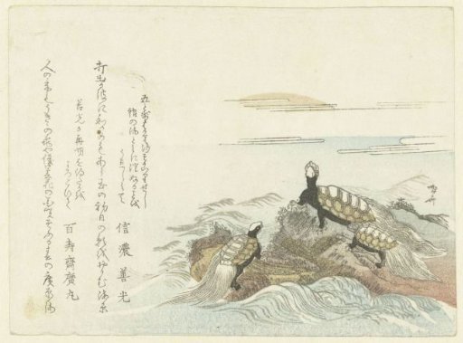 Turtles on a Rock