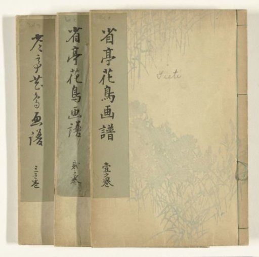 Sketches of Flowers and Birds by Shotei
