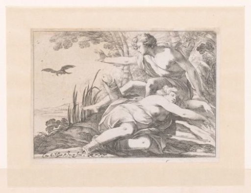 Apollo and Coronis