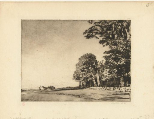 Hampstead Heath