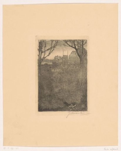 View of a garden with bushes and sunflowers