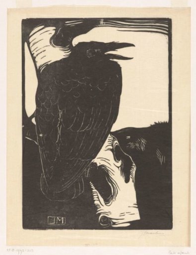 Raven on a birch tree