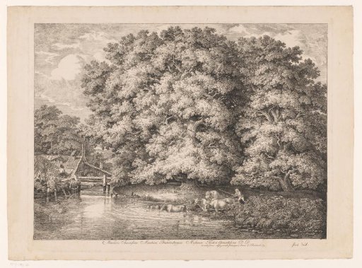 Watermill near a large oak tree