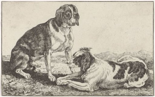 Two dogs