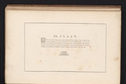 Explanation of a Vase and an Ionic Capital with a Tabletop
