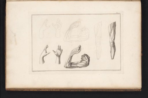 Leg, arm, and two hands