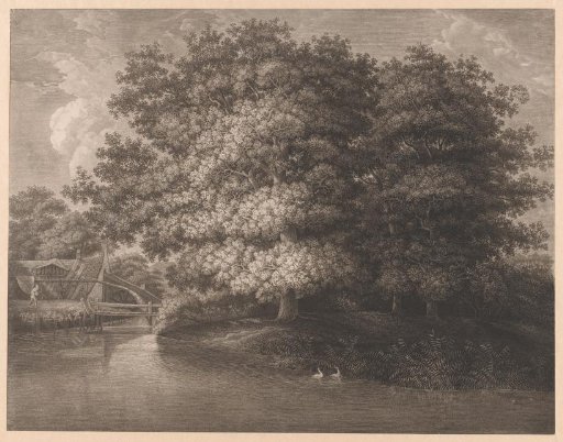 Watermill near a large oak
