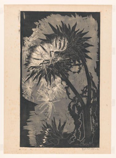 Artichoke