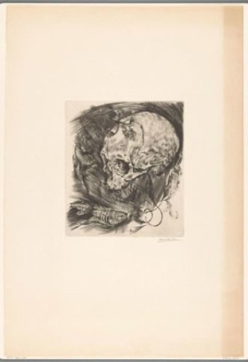 Skull, fish and branches with leaves