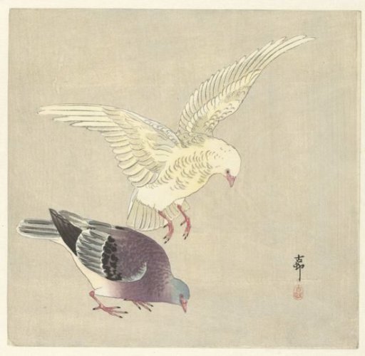 Two Doves