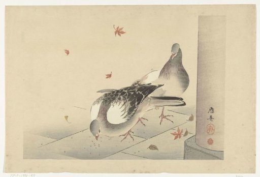 Two Doves