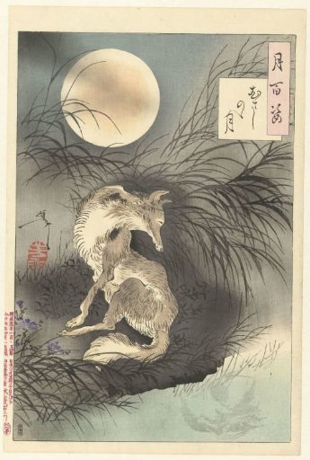 Moon of Musashi