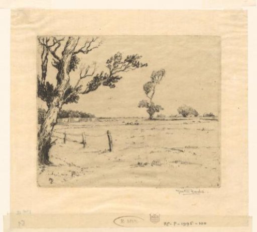 Tree by a fence and a meadow