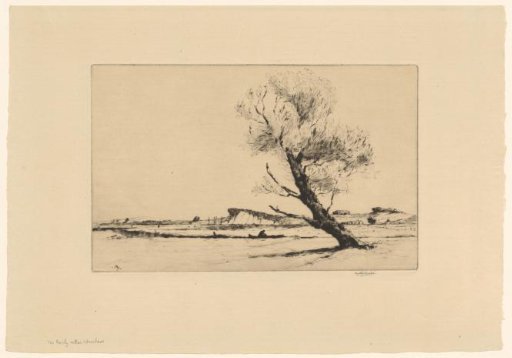 View of a dune landscape with a tree