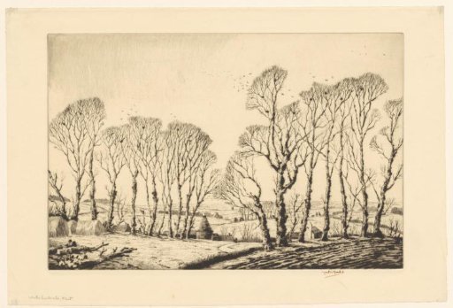 Winter landscape with tall trees near a farmhouse