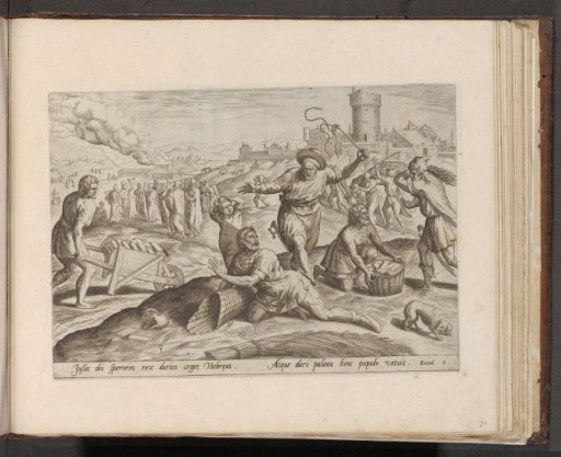 Oppression of the Israelites by the Egyptians