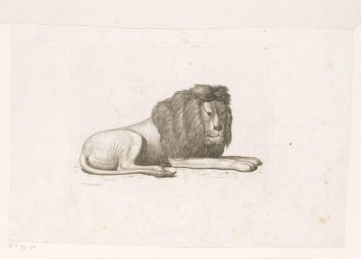 Recumbent Lion