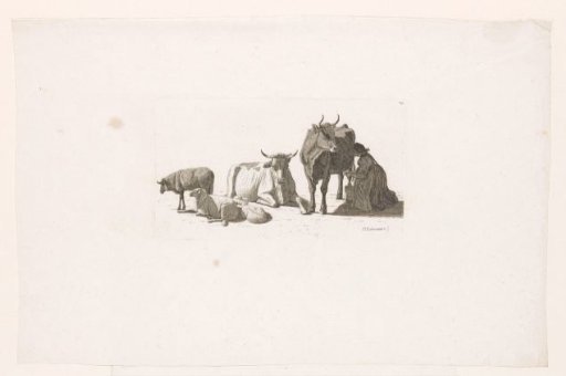 Woman milking a cow, with cattle and sheep