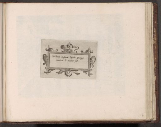Cartouche with scrollwork