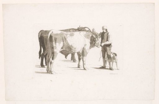 Man and a dog next to two oxen with a yoke
