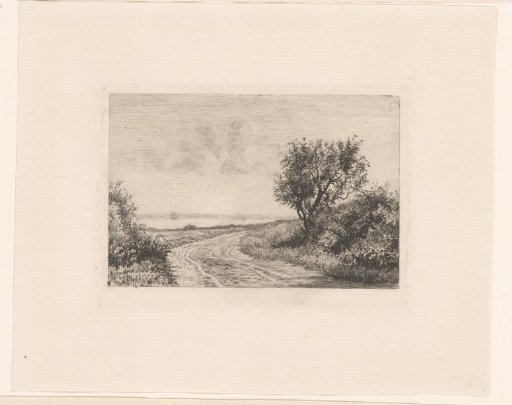 Country road with trees along water