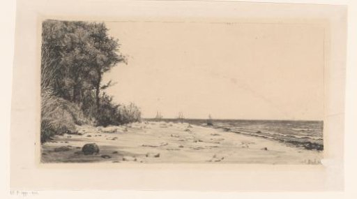 Beach with a row of trees along water