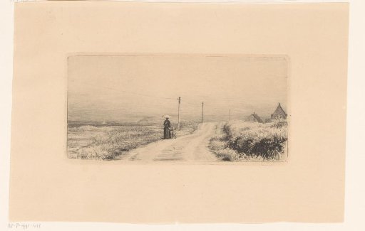 Country road with a walking lady and child