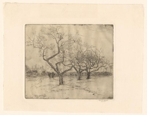 View of an orchard at Tonbridge