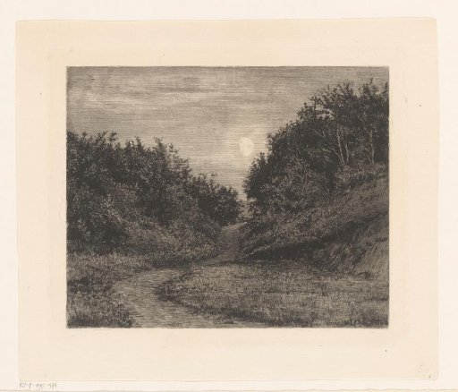 Forest path by moonlight
