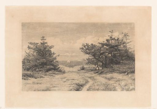 Country road with bushes, along a lake