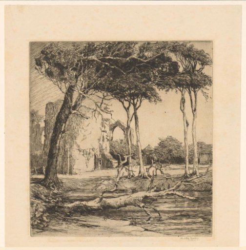 View of Trees at the Monastery in Beeston Regis