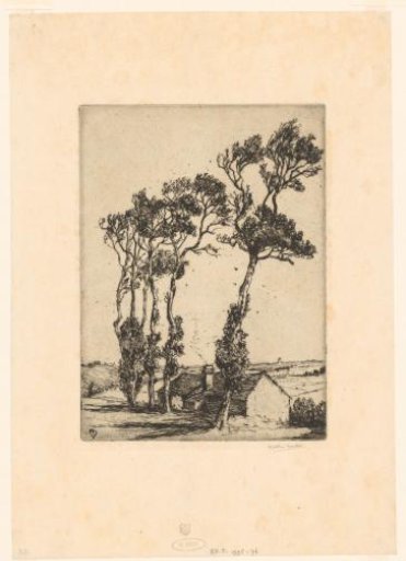 View of Four Trees at a House in Trimingham