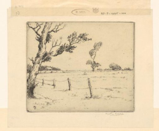 Tree by a fence and a meadow