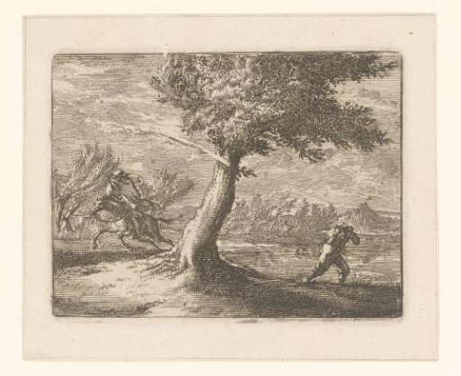 Lightning strikes a laurel tree
