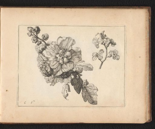 Flower and branch with leaves