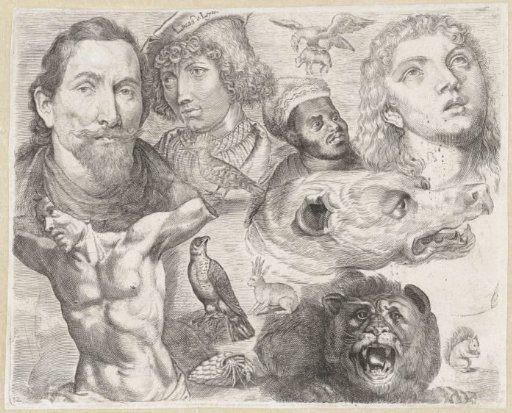 Study sheet with drawing examples: heads, torsos and animals