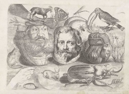 Study sheet with drawing examples: portraits, animals, insects