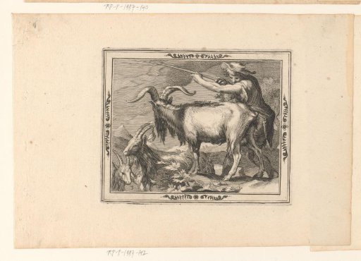 Goats with a Shepherd