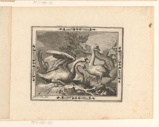 Two Swans and Their Young