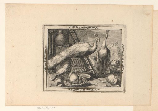 Two Peacocks, a Cockatoo and a Rabbit