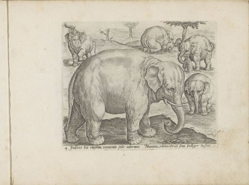 Five Elephants
