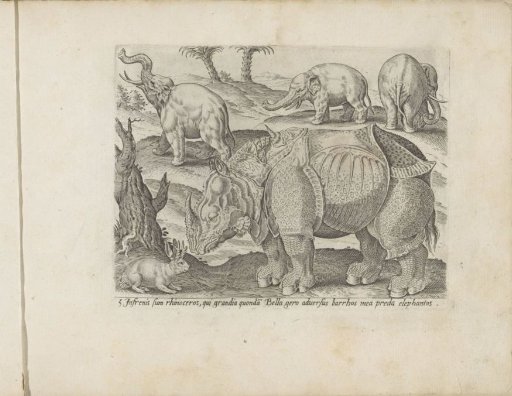 Rhinoceros and Three Elephants
