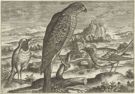 Several Birds in a Landscape