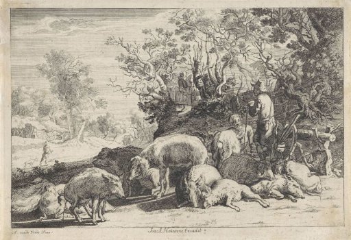 Swineherd with a herd