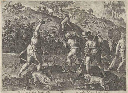 Hunting Badgers