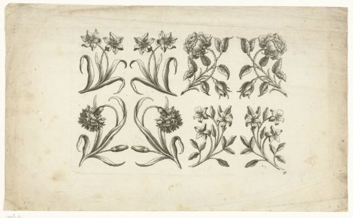 Eight flowers