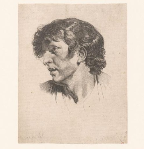 Head of a young man, turned to the left