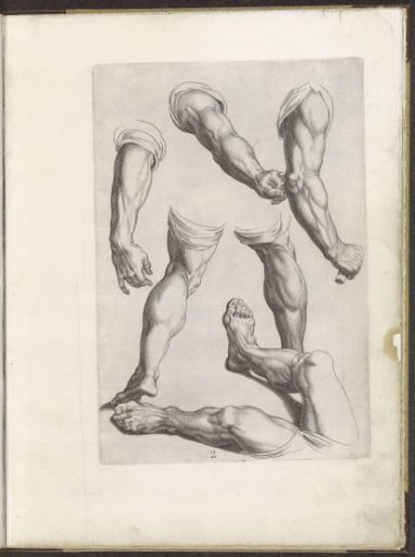Drawing examples of arms and legs
