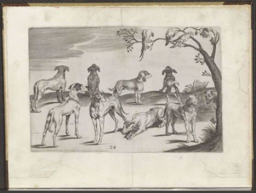 Drawing examples of dogs